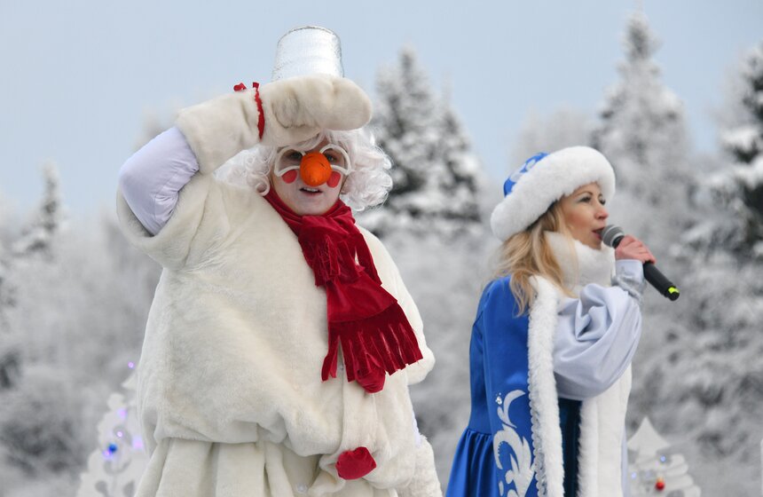 Главную новогоднюю ель России спилили в Подмосковье 22 фото