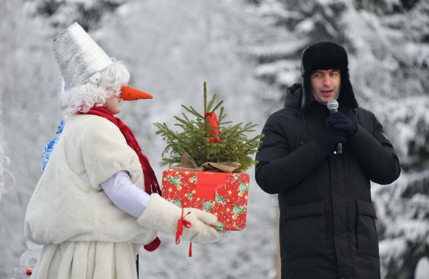 Главную новогоднюю ель России спилили в Подмосковье 27 фото