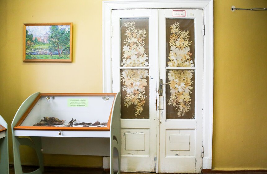 Старая Фондовая оранжерея Главного ботанического сада РАН закрывается на ремонт 21 фото