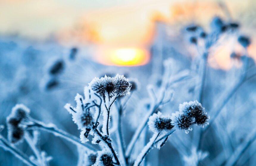 В Москве прошел сильнейший за 28 лет снегопад 21 фото