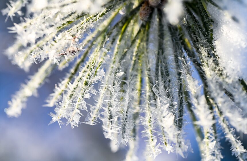 В Москве прошел сильнейший за 28 лет снегопад 14 фото