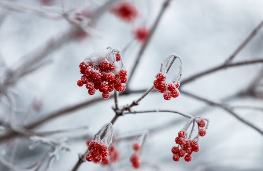 В Москве прошел сильнейший за 28 лет снегопад 18 фото