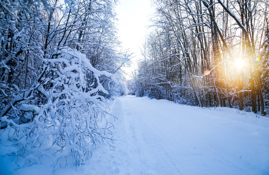 В Москве прошел сильнейший за 28 лет снегопад 4 фото
