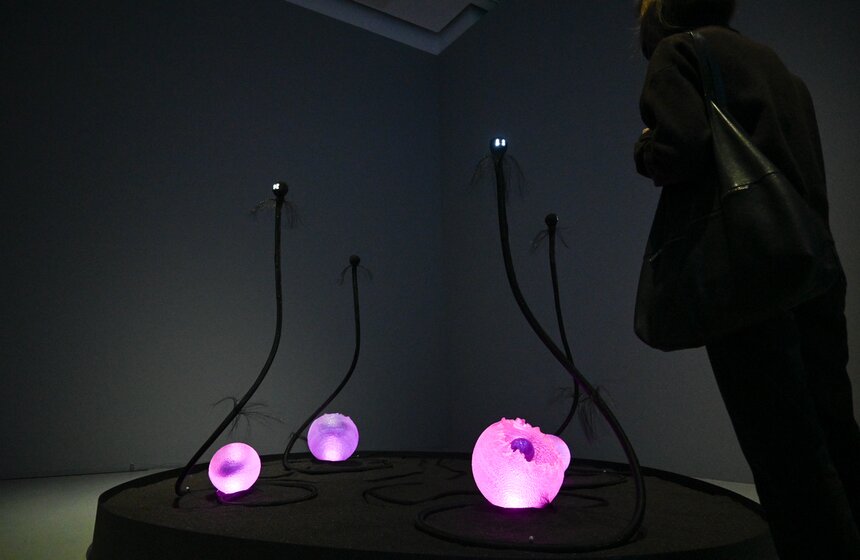 В Мультимедиа Арт Музее состоялось открытие биеннале "Искусство будущего" 19 фото