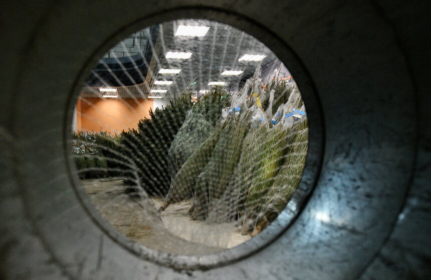 В Москве открылись елочные базары 16 фото