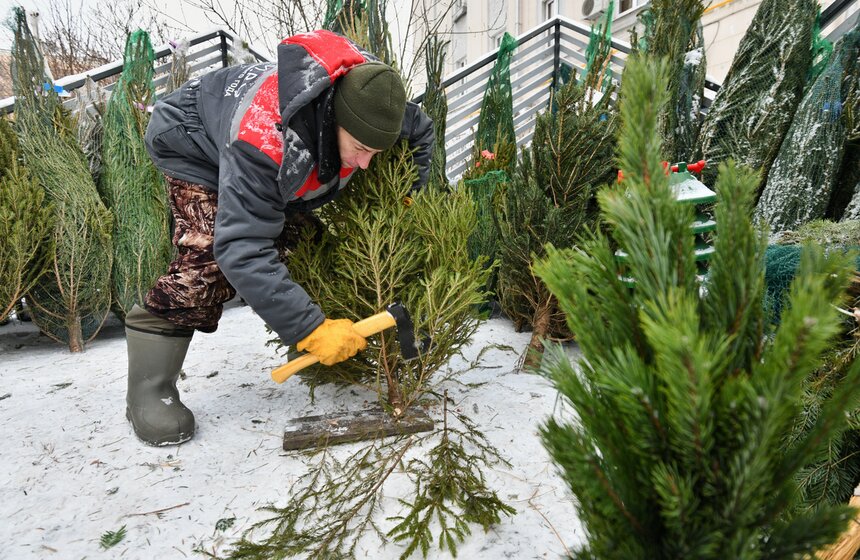 В Москве открылись елочные базары 11 фото