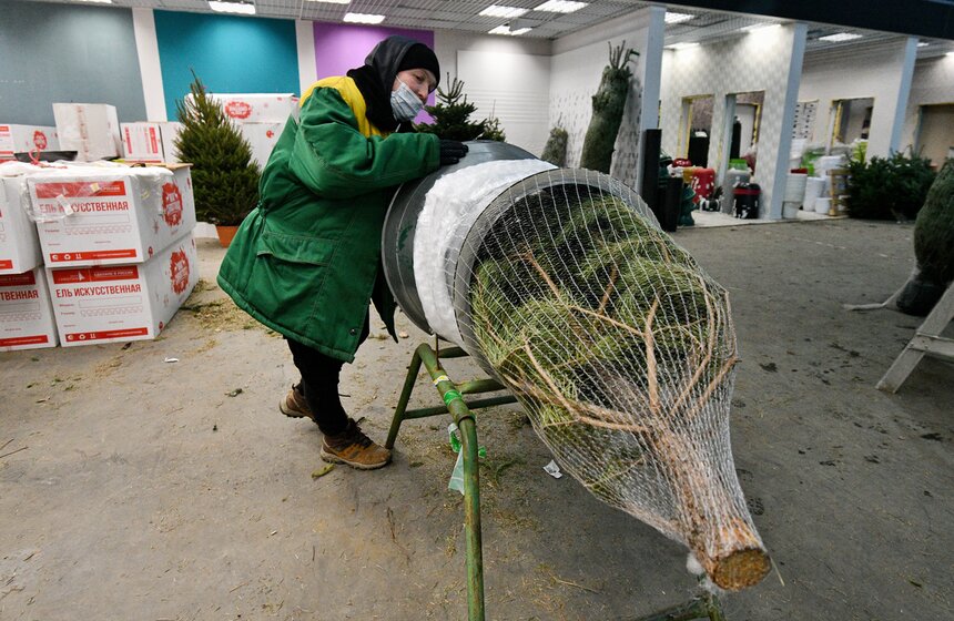 В Москве открылись елочные базары 17 фото