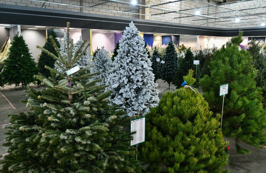 В Москве открылись елочные базары 22 фото