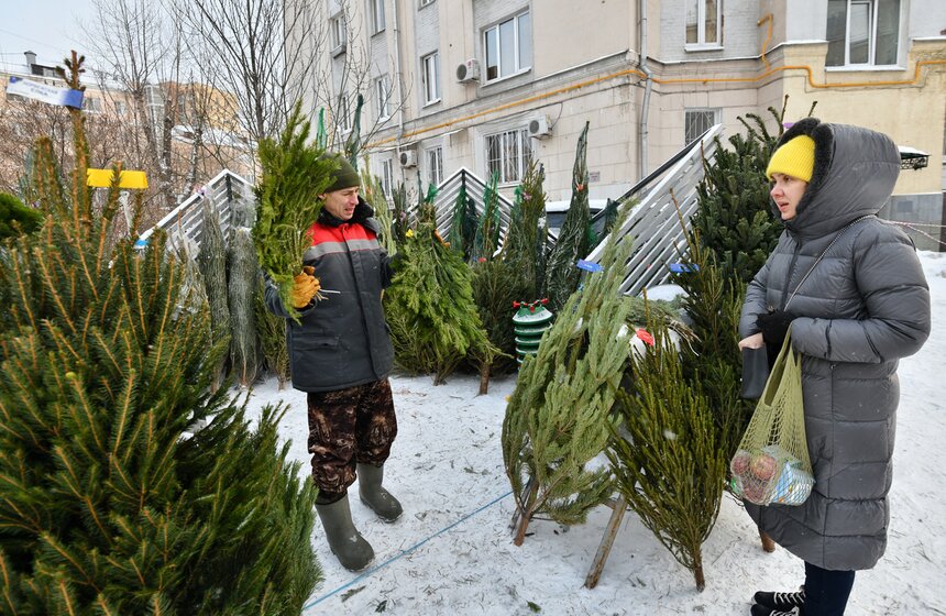 В Москве открылись елочные базары 1 фото