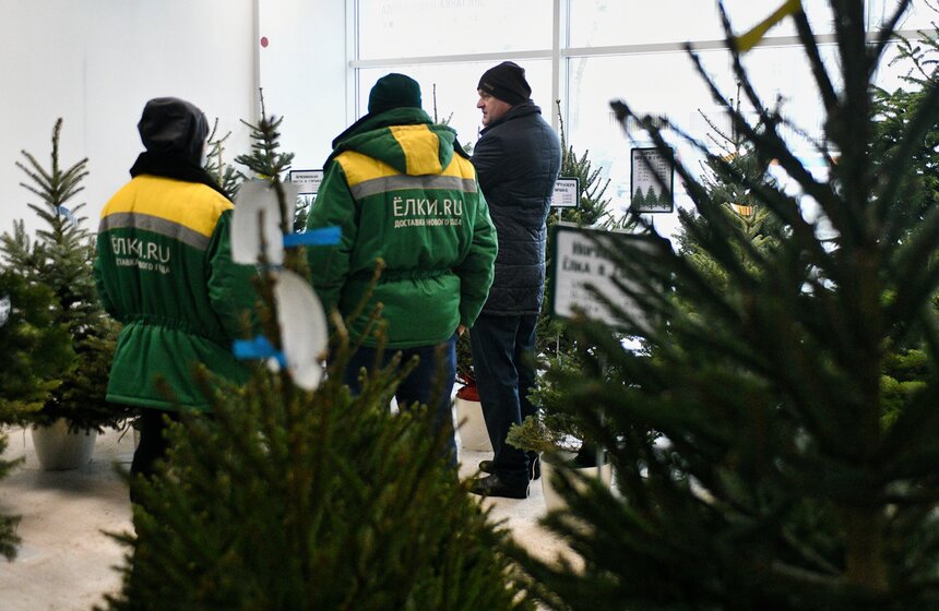 В Москве открылись елочные базары 13 фото
