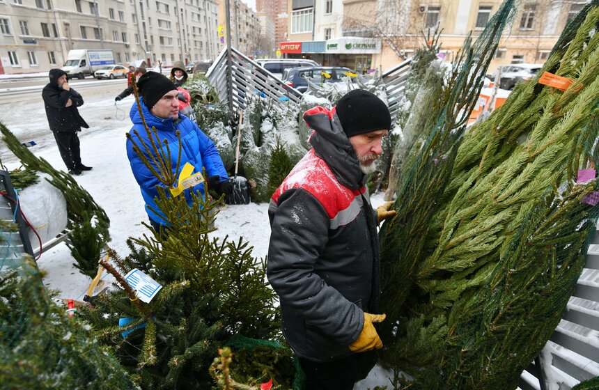 В Москве открылись елочные базары 3 фото