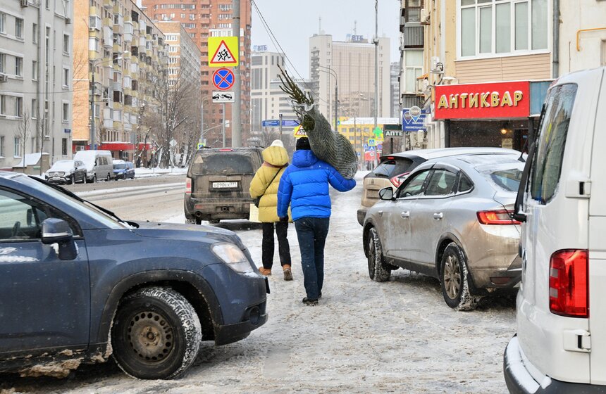 В Москве открылись елочные базары 8 фото