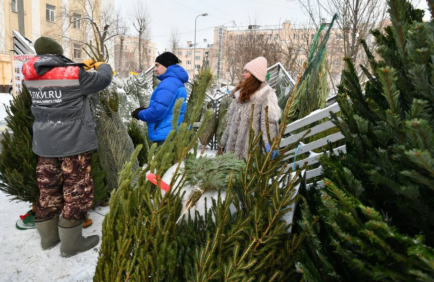 В Москве открылись елочные базары 7 фото