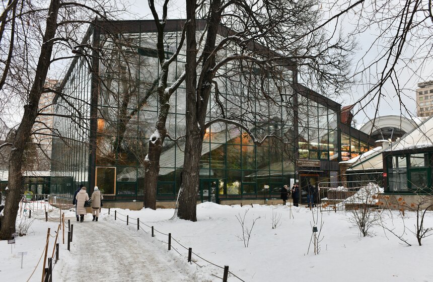 В "Аптекарском огороде" открылся фестиваль экзотических растений "Тропическая зима" 24 фото