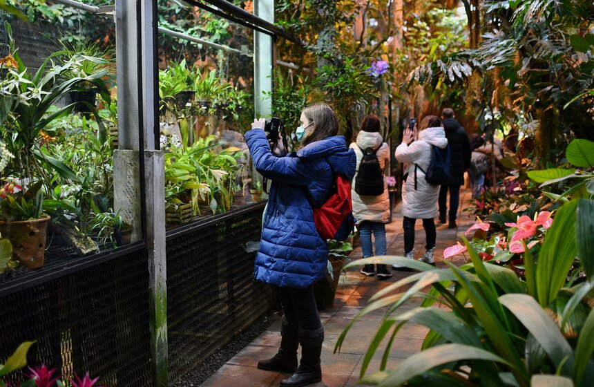 В "Аптекарском огороде" открылся фестиваль экзотических растений "Тропическая зима" 1 фото