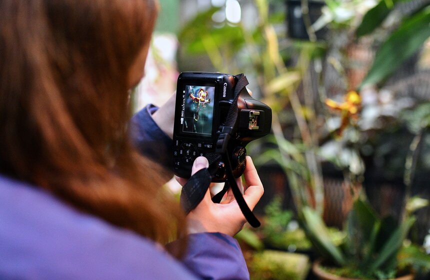 В "Аптекарском огороде" открылся фестиваль экзотических растений "Тропическая зима" 3 фото
