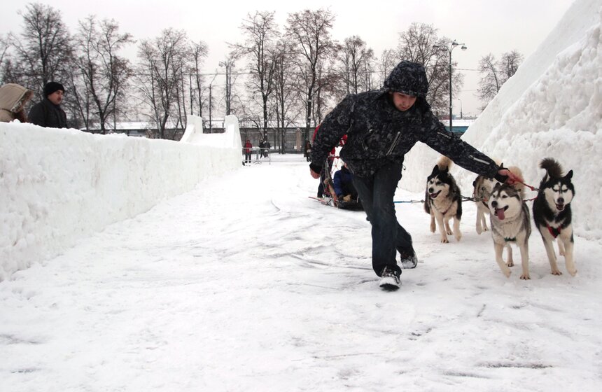 Зимний парк для всей семьи открылся в "Лужниках" 10 фото