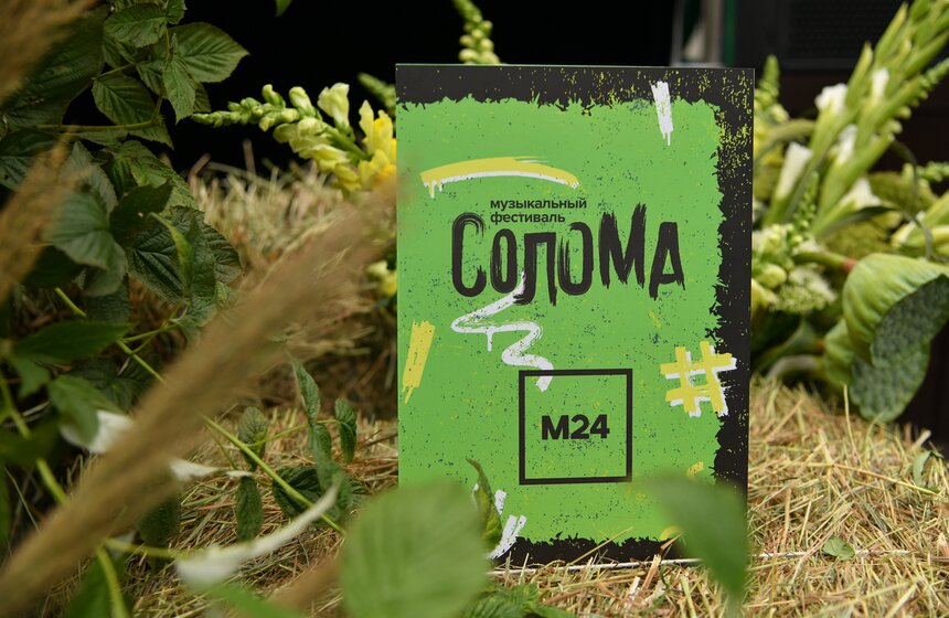 Музыкальный фестиваль "Солома" прошел в саду "Эрмитаж" 20 фото