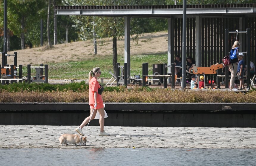 Москвичи спасаются от летнего зноя в городских парках 9 фото