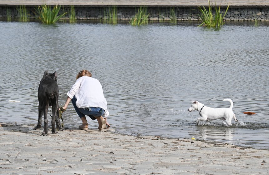 Москвичи спасаются от летнего зноя в городских парках 17 фото