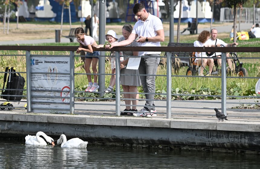 Москвичи спасаются от летнего зноя в городских парках 4 фото