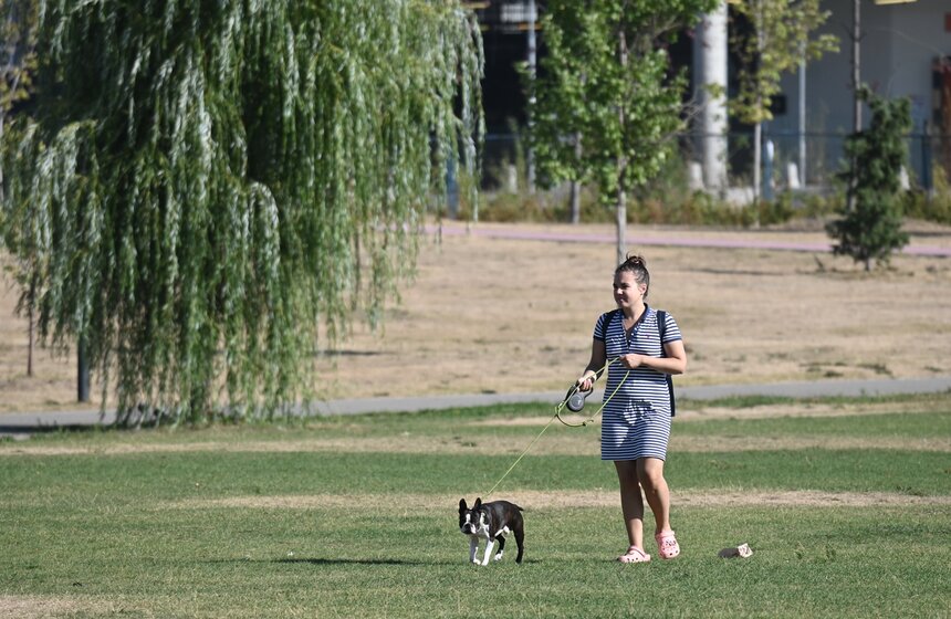 Москвичи спасаются от летнего зноя в городских парках 25 фото