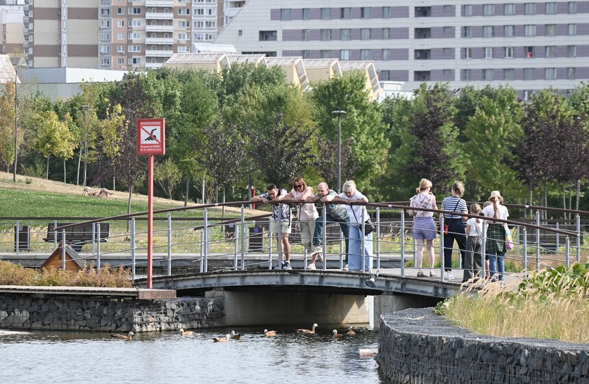 Москвичи спасаются от летнего зноя в городских парках 1 фото