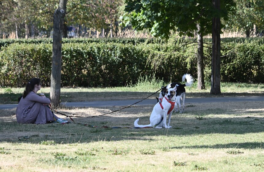 Москвичи спасаются от летнего зноя в городских парках 22 фото
