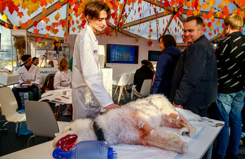 Гастрофестиваль "Золотая осень – 2022" завершился на ВДНХ 8 фото