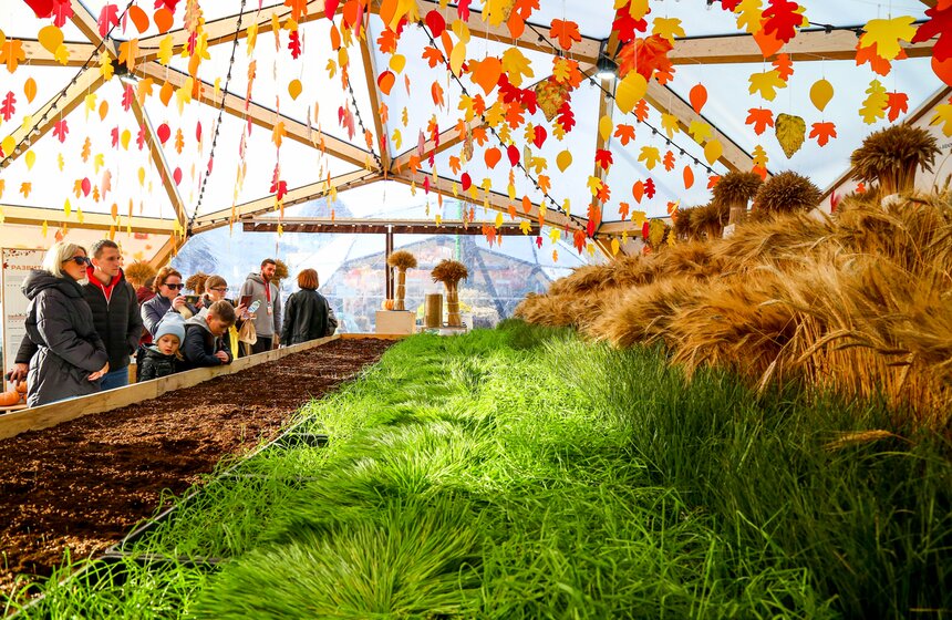 Гастрофестиваль "Золотая осень – 2022" завершился на ВДНХ 4 фото