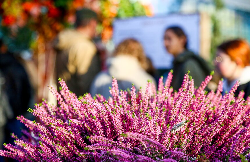 Гастрофестиваль "Золотая осень – 2022" завершился на ВДНХ 6 фото