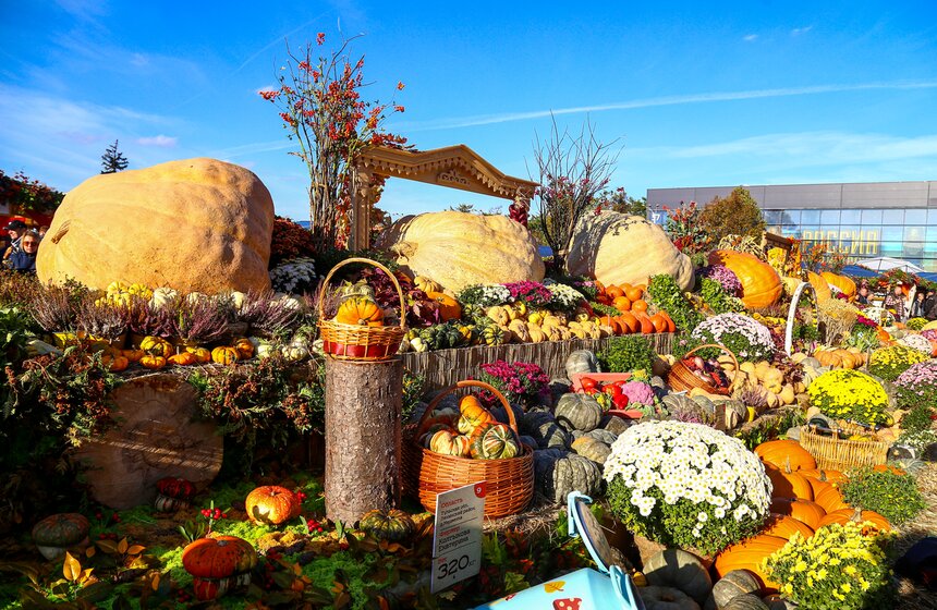 Гастрофестиваль "Золотая осень – 2022" завершился на ВДНХ 17 фото