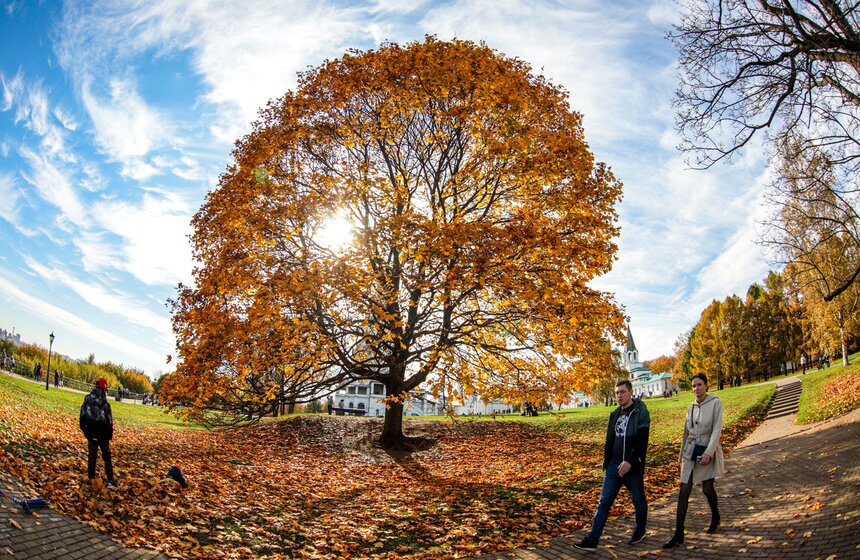 Синоптик заявил, что золотая осень в Центральной России продлится еще неделю 7 фото