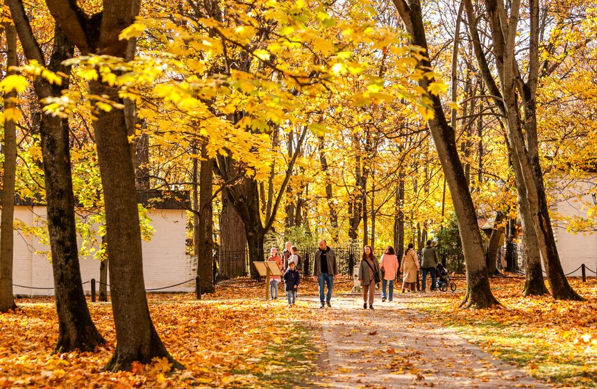 Синоптик заявил, что золотая осень в Центральной России продлится еще неделю 19 фото