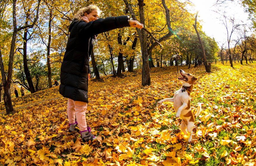 Синоптик заявил, что золотая осень в Центральной России продлится еще неделю 22 фото