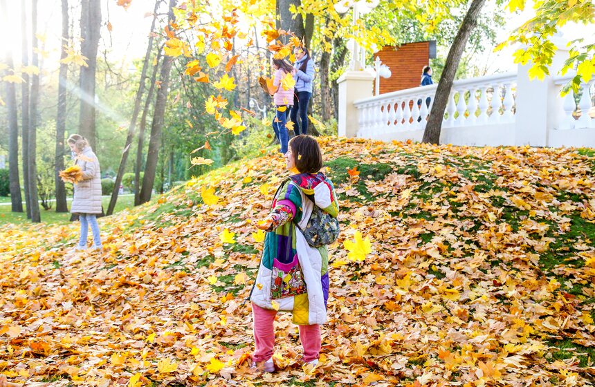 Синоптик заявил, что золотая осень в Центральной России продлится еще неделю 2 фото