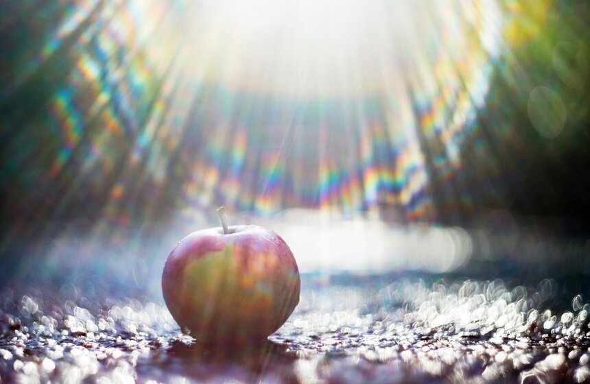 Синоптик заявил, что золотая осень в Центральной России продлится еще неделю 10 фото