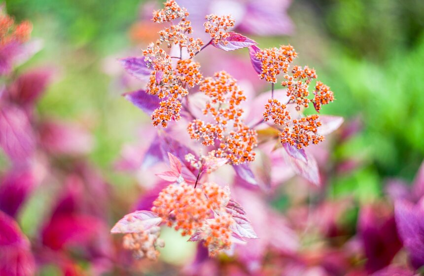 Синоптик заявил, что золотая осень в Центральной России продлится еще неделю 25 фото