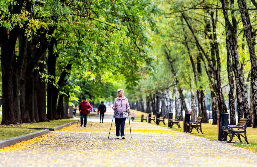 Синоптик заявил, что золотая осень в Центральной России продлится еще неделю 13 фото