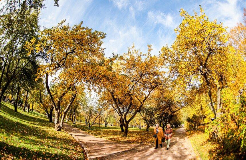 Синоптик заявил, что золотая осень в Центральной России продлится еще неделю 1 фото