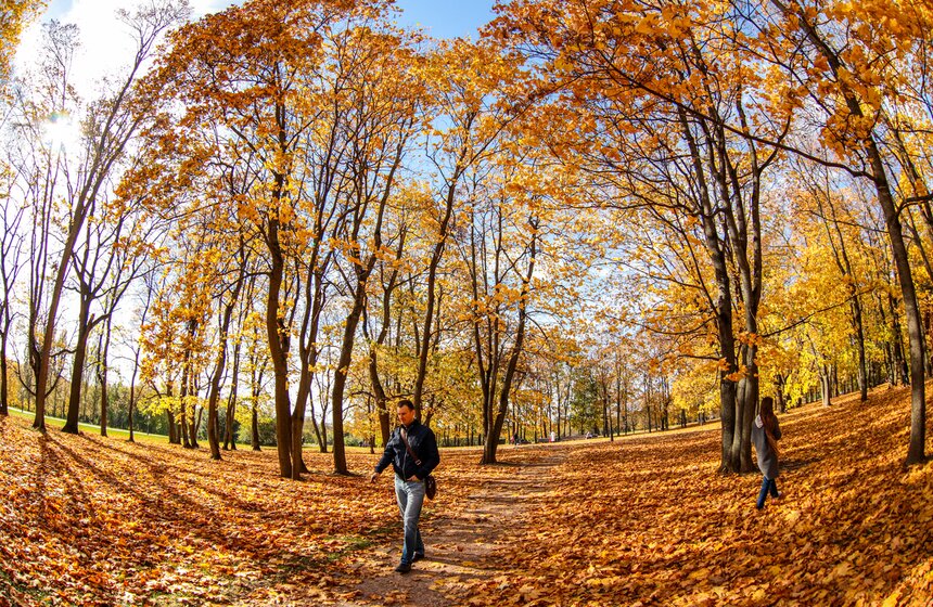 Синоптик заявил, что золотая осень в Центральной России продлится еще неделю 16 фото