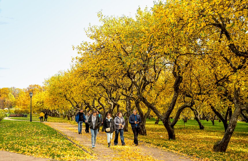 Синоптик заявил, что золотая осень в Центральной России продлится еще неделю 23 фото