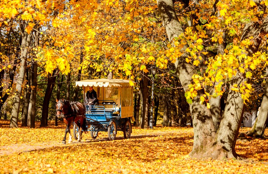 Синоптик заявил, что золотая осень в Центральной России продлится еще неделю 15 фото