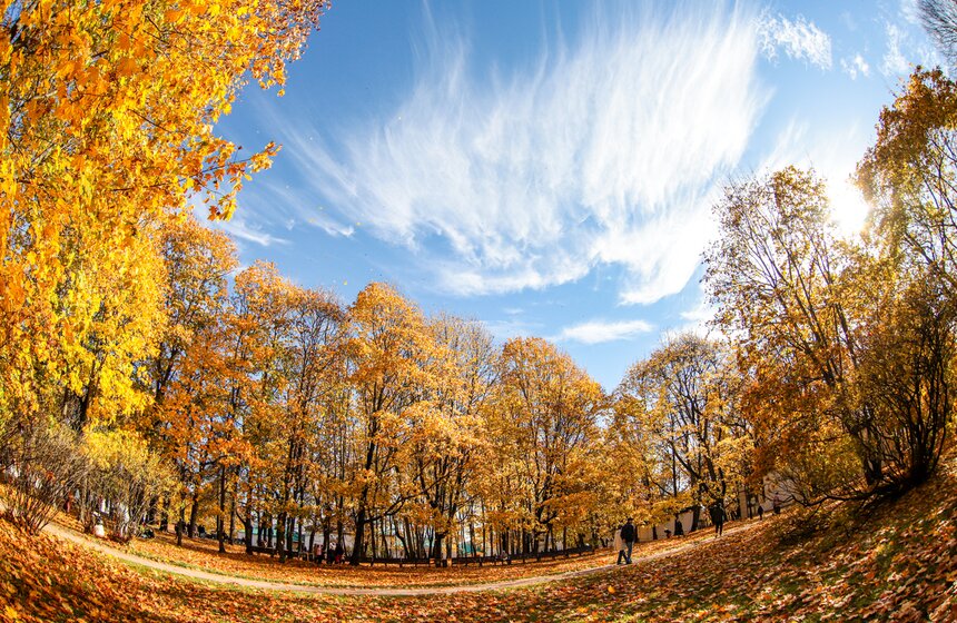 Синоптик заявил, что золотая осень в Центральной России продлится еще неделю 17 фото