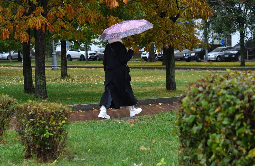 Москву накрыл рекордный ливень 19 фото