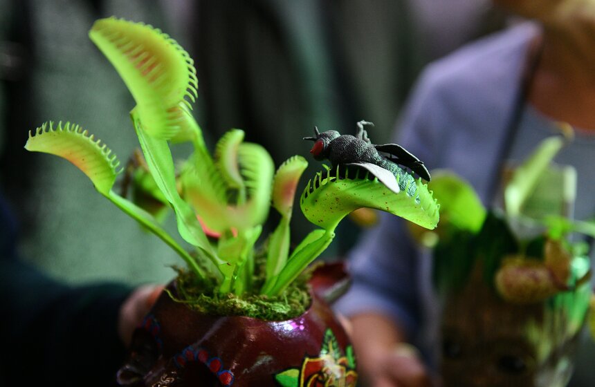 Фестиваль кооперации и взаимопомощи "Черный рынок" прошел в Москве 10 фото