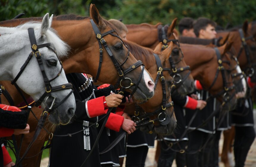 Праздничный молебен Флору и Лавру провели у храма-часовни Василия Великого на ВДНХ 15 фото