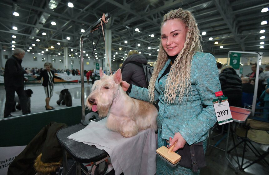 В Москве провели всероссийскую выставку собак "Россия. Кубок РКФ" 18 фото