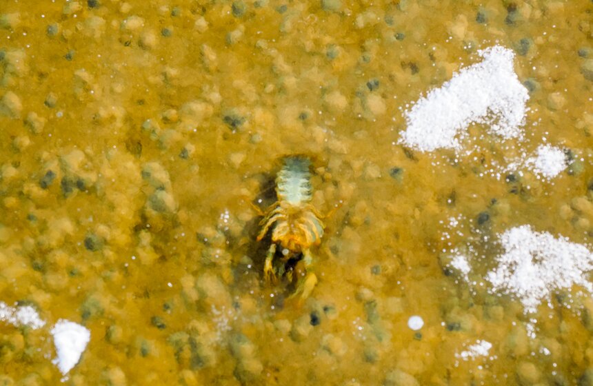 В Москве ввели усиленное патрулирование рек и водоемов из-за хрупкого льда 15 фото