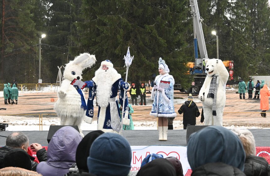 Главную новогоднюю елку России спилили в Подмосковье 14 фото